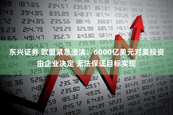 东兴证券 欧盟紧急澄清:6000亿美元对美投资由企业决定 无法保证目标实现