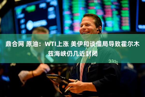 鼎合网 原油：WTI上涨 美伊和谈僵局导致霍尔木兹海峡仍几近封闭