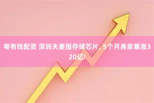 粤有钱配资 深圳夫妻囤存储芯片, 5个月身家暴涨320亿!