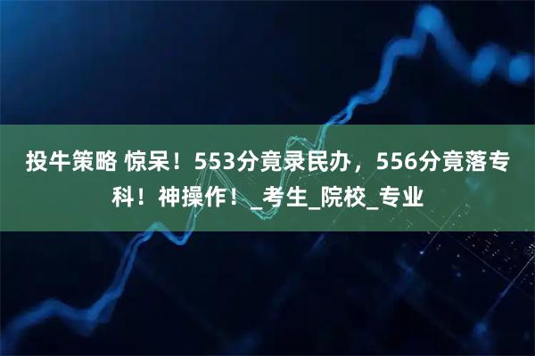 投牛策略 惊呆！553分竟录民办，556分竟落专科！神操作！_考生_院校_专业