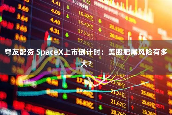 粤友配资 SpaceX上市倒计时：美股肥尾风险有多大？